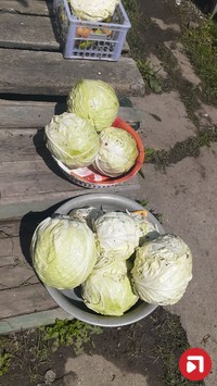 Обищенко Владимир Викторович