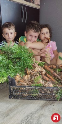 Невмержицкий Павел 