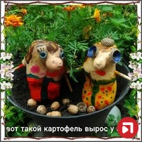 Елена Рослая